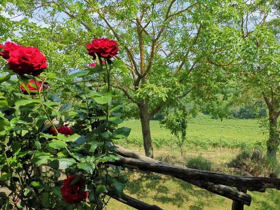Cascina Valtignosa Camere Con Vigna Cassine Bagian luar foto