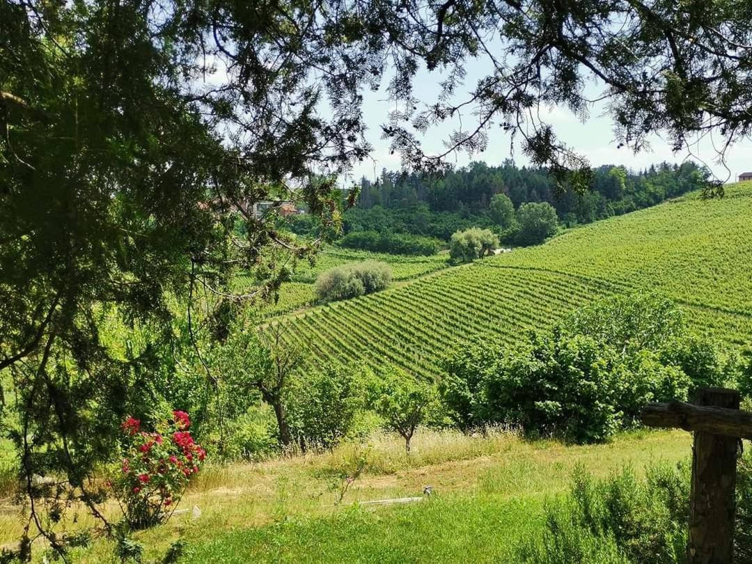 Cascina Valtignosa Camere Con Vigna Cassine Bagian luar foto