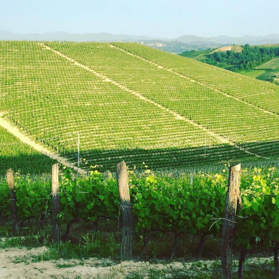 Cascina Valtignosa Camere Con Vigna Cassine Bagian luar foto