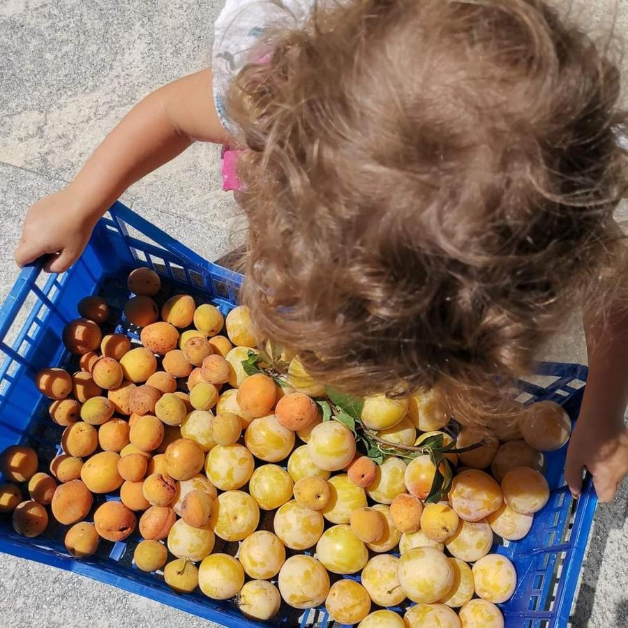 Cascina Valtignosa Camere Con Vigna Cassine Bagian luar foto