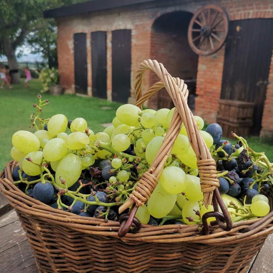 Cascina Valtignosa Camere Con Vigna Cassine Bagian luar foto