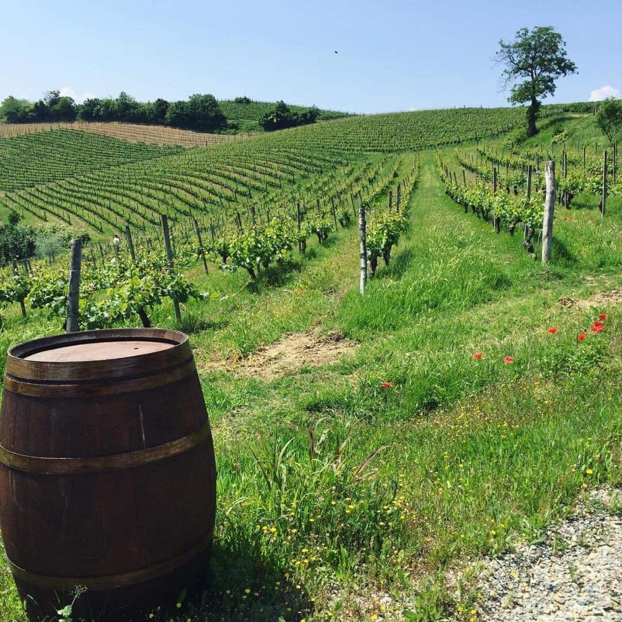Cascina Valtignosa Camere Con Vigna Cassine Bagian luar foto