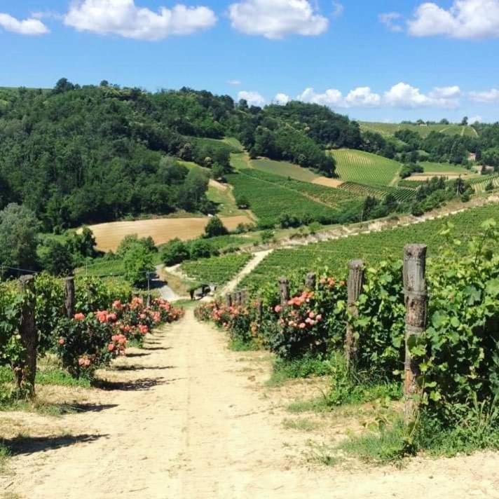 Cascina Valtignosa Camere Con Vigna Cassine Bagian luar foto