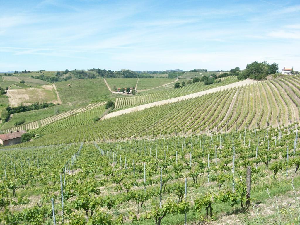 Cascina Valtignosa Camere Con Vigna Cassine Bagian luar foto