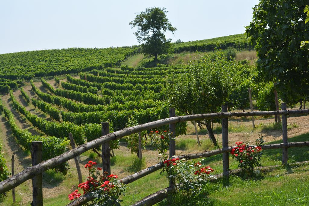 Cascina Valtignosa Camere Con Vigna Cassine Bagian luar foto