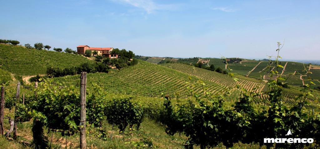 Cascina Valtignosa Camere Con Vigna Cassine Bagian luar foto