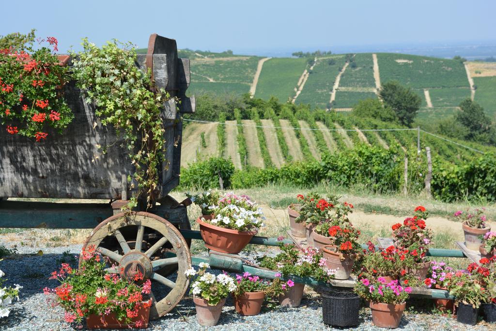 Cascina Valtignosa Camere Con Vigna Cassine Bagian luar foto