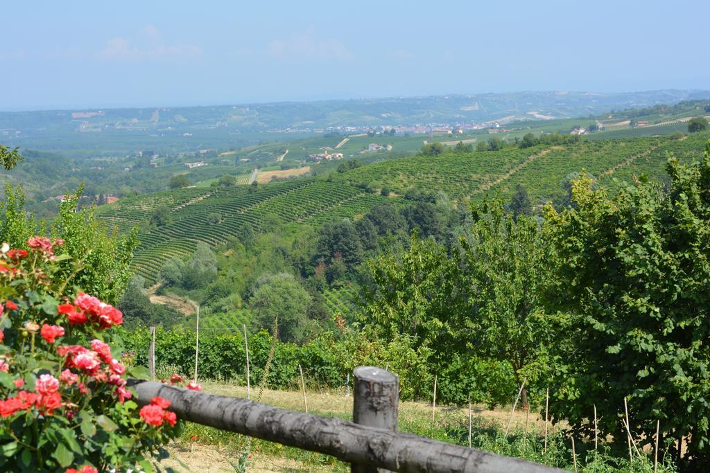 Cascina Valtignosa Camere Con Vigna Cassine Bagian luar foto