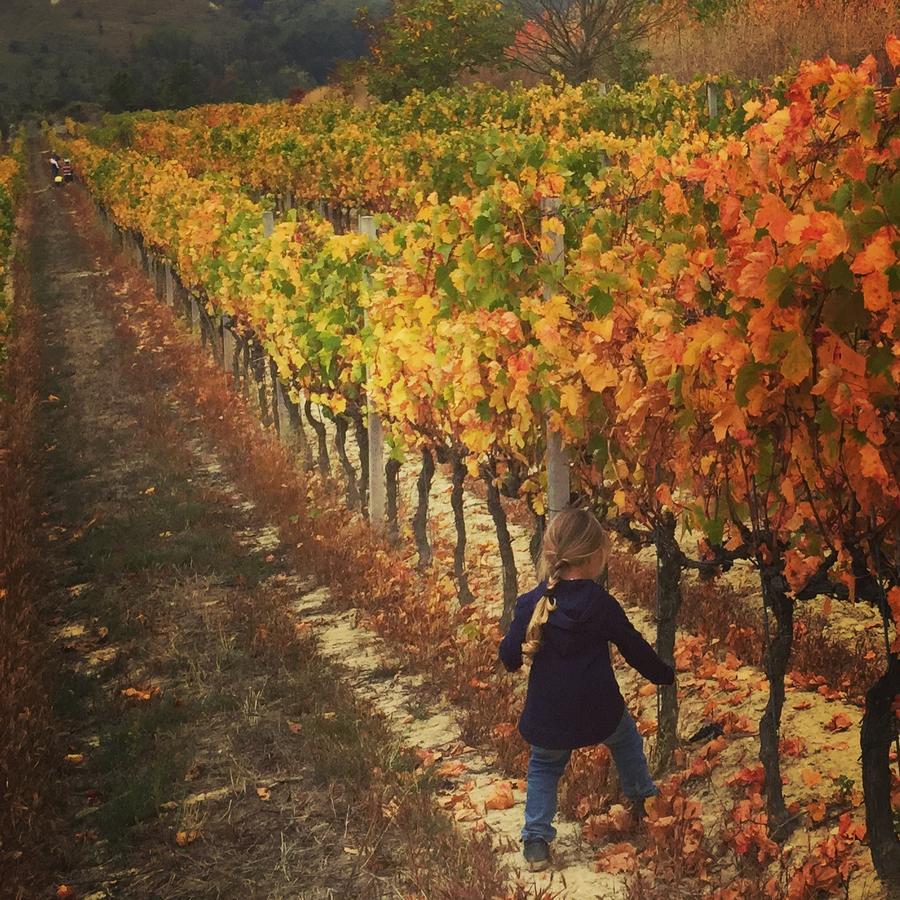 Cascina Valtignosa Camere Con Vigna Cassine Bagian luar foto