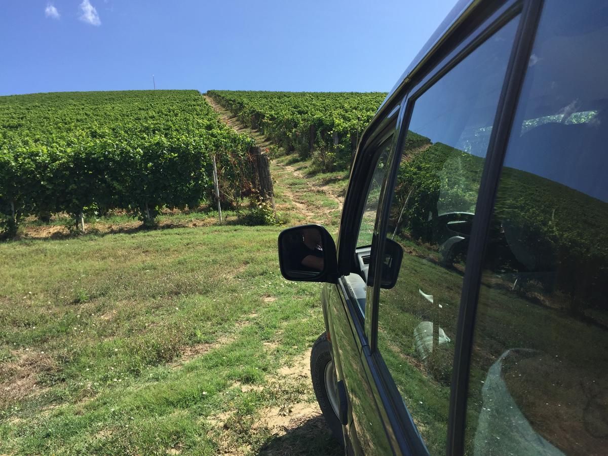 Cascina Valtignosa Camere Con Vigna Cassine Bagian luar foto