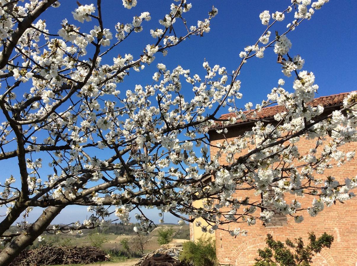 Cascina Valtignosa Camere Con Vigna Cassine Bagian luar foto